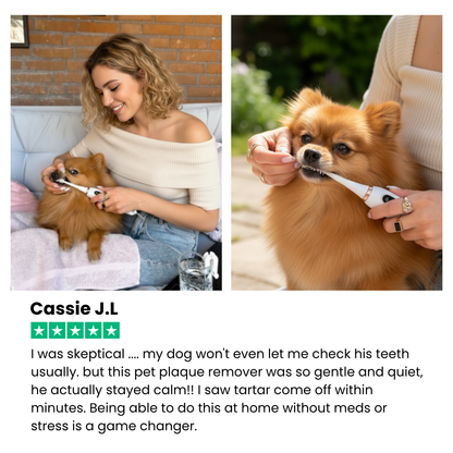 Silent Sonic Plaque & Tartar Remover for dogs